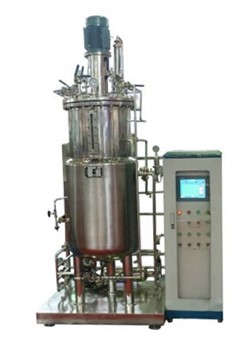 厌氧仙人掌视频app免费下载